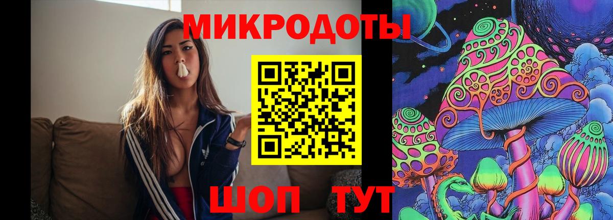 Галлюциногенные грибы Psilocybe  Вход с VPN  Киселёвск 